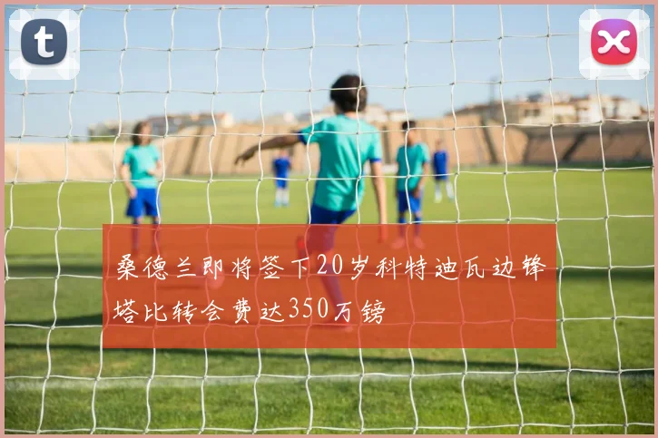桑德兰即将签下20岁科特迪瓦边锋塔比转会费达350万镑